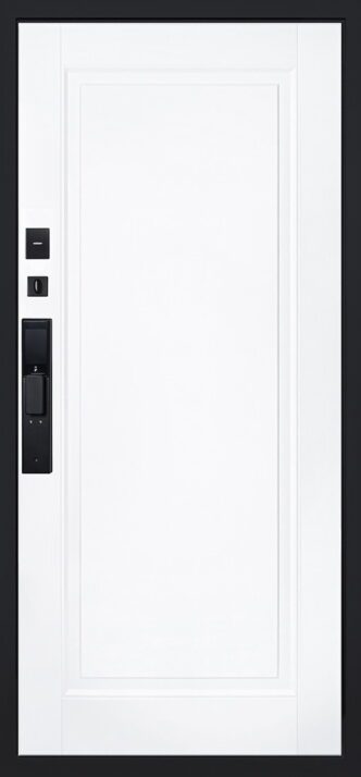 Белый матовый DZ 888 (₽ 60000)
